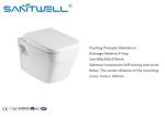 European Rimless Wall Mounted Wc , Wall Outlet Toilet Ceramic Toilet