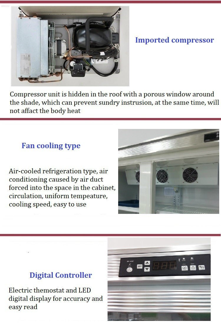 Upright Commercial Display Freezer Beverage Cooler