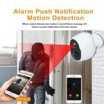 1920x1080 Tuya Smart Camera 2.0 Mega Pixels Pir Security Camera