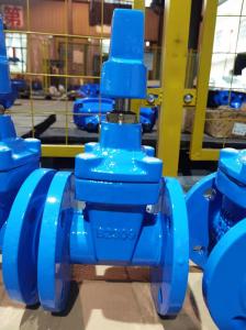 Soft Seated DIN3202-F4 Gate Valve Fire Hydrant DI Custom
