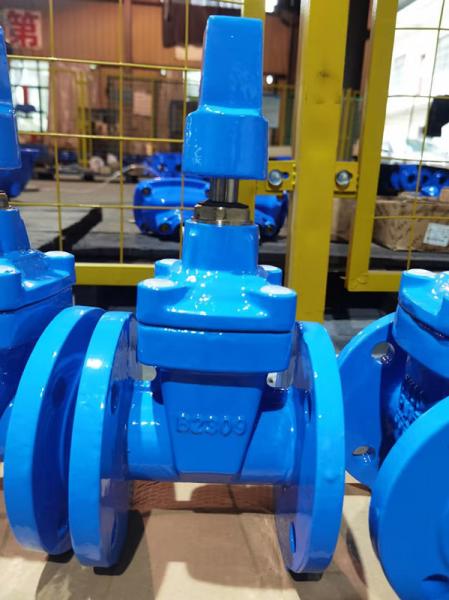 Cheap Soft Seated DIN3202-F4 Gate Valve Fire Hydrant DI Custom for sale