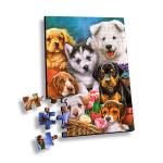 100 Piece Plastic 3D Lenticular Printing Puzzle For Souvenir