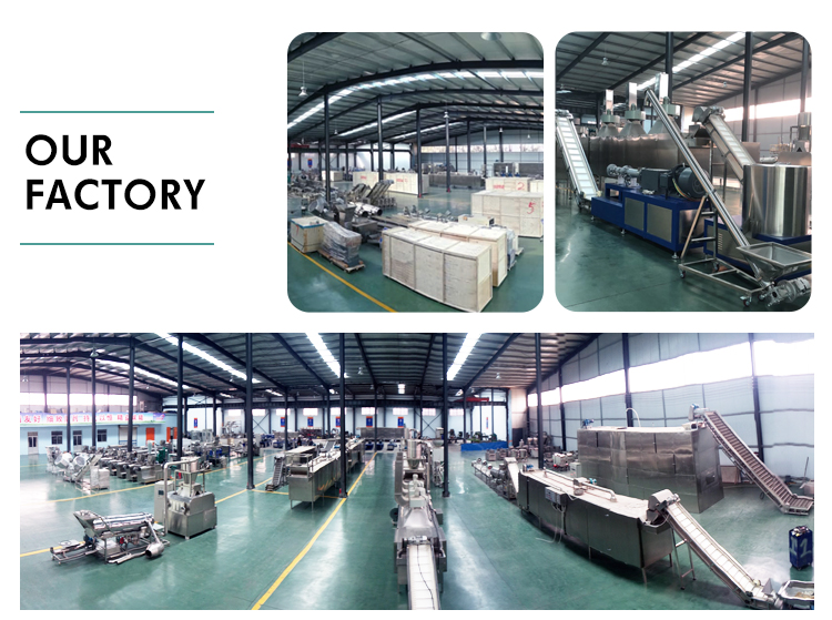 Siemens Motor Commercial Ornamental Fish Feed Pellet Machine for Cat Food Feed Production