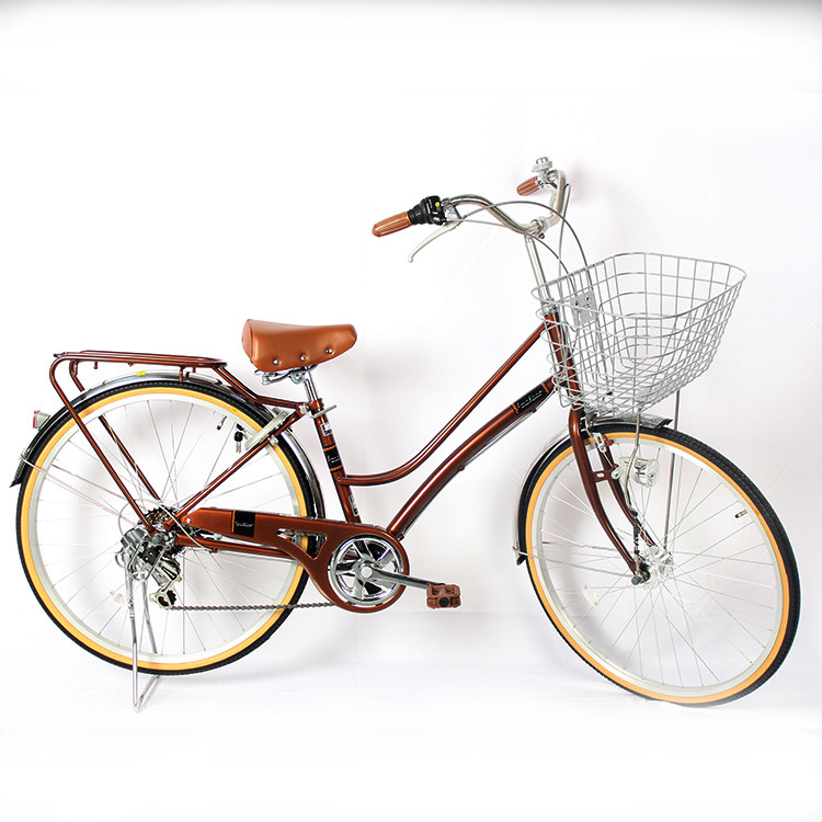 Steel City Bikes Shimano Sora Shifters Hard Frame Steel Frame With Caliper Brakes