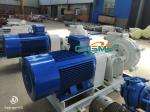 Direct Coupling Centrifugal Slurry Pump EAC With WEG Motor