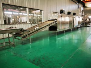 Quality 304 Stainless Steel Peanut Frying Machine Jumbo Peanut Production Line wholesale