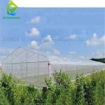 Hydroponic Tropical Area Polytunnel Greenhouse With Climate Control