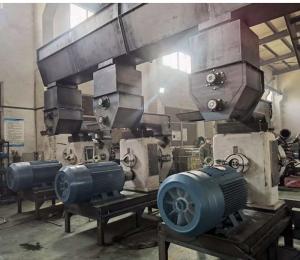 Quality 4MM 5MM 1TH Sawdust Pellet Press Machine 1TH Wood Pellet Processing Plant wholesale