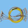Quality 12 cores Fiber Optic Patch Cord wholesale