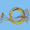 Buy cheap 12 cores Fiber Optic Patch Cord from wholesalers
