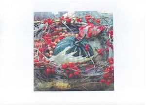 Quality Pumpkin 20 Counts 3ply Printed Paper Napkin Wood Pulp Material wholesale