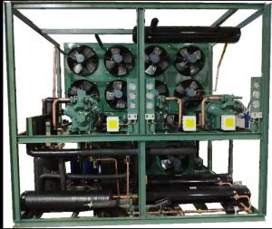 Quality 20HP Cascade Cold Room Refrigeration Unit Low Temperature Condensing Unit wholesale