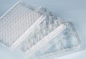 Quality Suspension Cell Culture 6-Well Plate for Cells including hMSC wholesale
