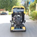 Rubber Track Truck Moving Type Crawler Loader 300kg 500kg Tracked Mini Dumper