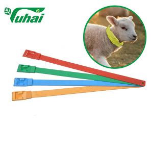Quality Colorful Livestock Bands 59x4cm PU Material Goat Collar For Identification wholesale