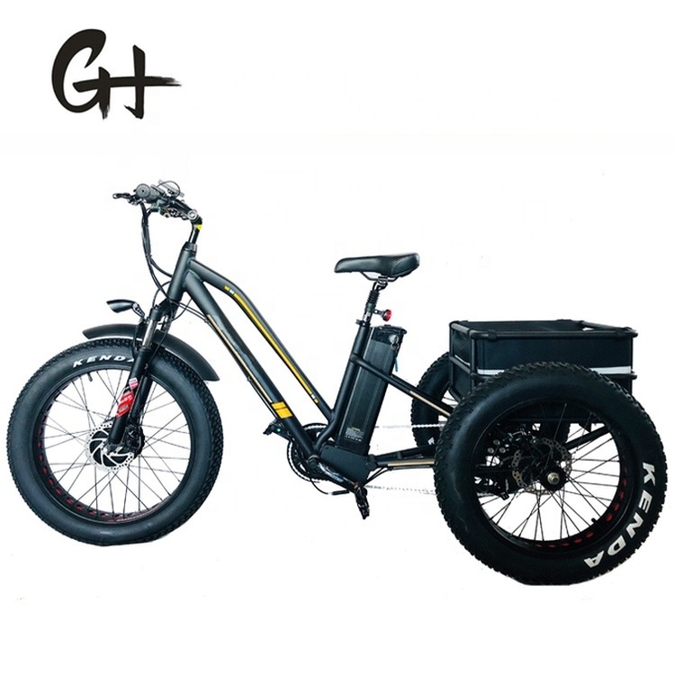 Disc Brake 750W Electric Cargo Tricycle Fat Tire 3 Wheel E Trike for Long Range Travel