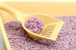 Commercial Easy Scooping Pet Cat Litter Lavender Scent Environmentally Friendly