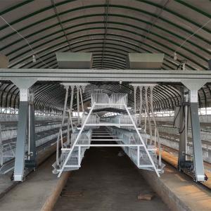 Quality A Type Full Automatic Battery Chicken Cage Cold Galvanized For Farm wholesale
