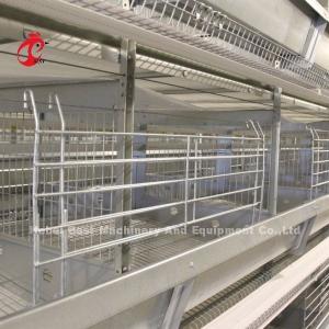 Quality Chicken 12 Cells Layer Battery Cage System 4 Tier For Farm Adela wholesale