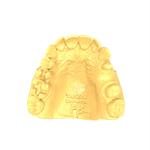 LCD Printer Rapid Cure Resin For Expedited Dental Model Repairs