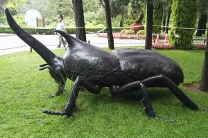 Quality Realistic Life Size Animatronic Insects On Site Installation Available wholesale