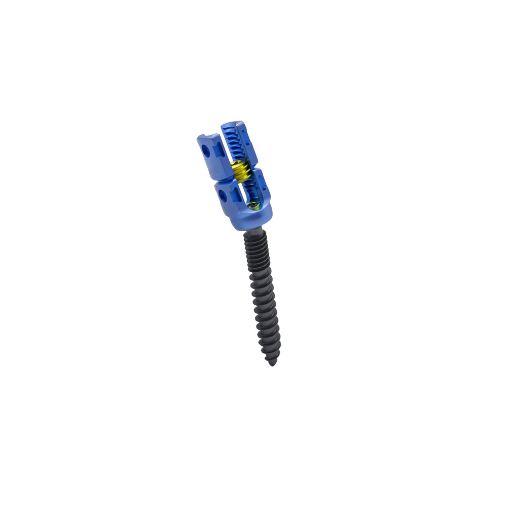 Spinal Rod System U Multi Axial Pedicle Screw Break Off