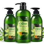 Natural Olive Extract Summer Oil Control Beauty Hair Shampoo For Dry Hair