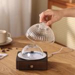 Dome Glass Ultrasonic Oil Diffuser▕ DN-839