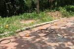 Downhole Seismic Velocity logging Survey System Shear Velocity Measurement with