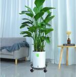 ISO9001 2008 Certified Metal Plant Caddy with Caster 11.8 Inches Plant Stand on