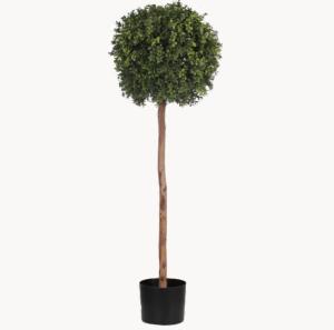 Quality Eco Friendly Artificial Potted Floor Plants Boxwood Single Trunk wholesale