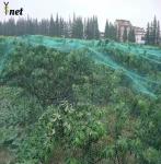 White Fruit Orchard Netting 10gsm - 60gsm Orchard Bird Netting