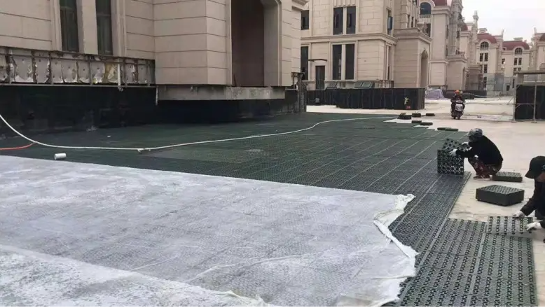Green Roof System HDPE Drainage Board and Dimple Membrane for Construction Waterproof