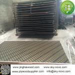 Brown film face plywood with logos