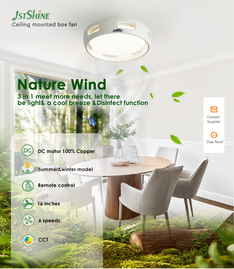 Small Air Purification 16" White Ceiling Fan with Copper Motor and REACH Certificate