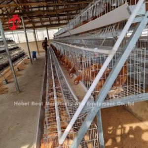 Quality Fully Automatic 80-100kg Heavy Duty Layer Poultry Cage System With Sliding Door Rose wholesale
