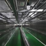 1500 International Type Stick Noodles Making Machine Processing Line 1500mm
