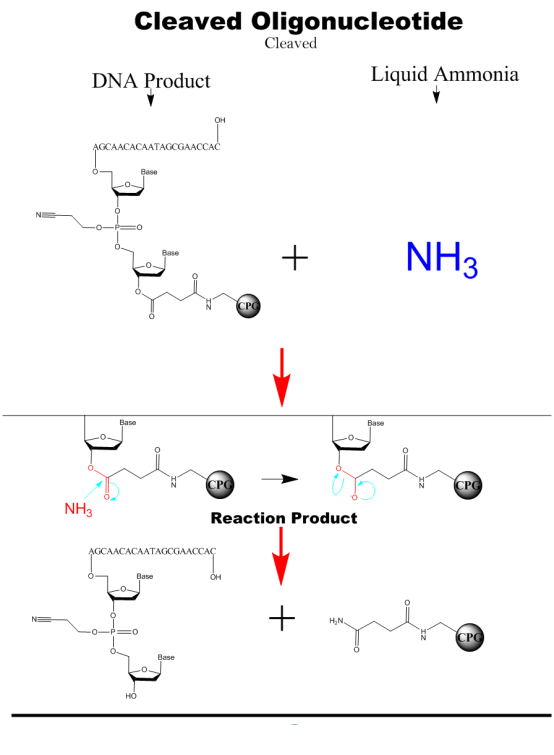 12 Column Medium Throughput Oligonucleotide Synthesis Equipment for DNA RNA Primer