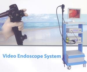 Quality High Definition Video Endoscopy System Gastroscopy / Colonoscopy In One Set wholesale