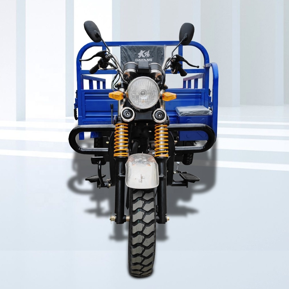 Paraguay Buyers' Must-Have Front Disc Rear Drum Brake System Motorized Tricycles
