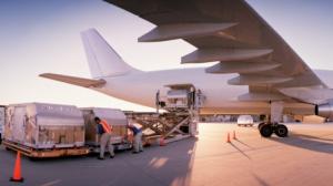 Quality Speedy China To Calgary Canada Amazon DDP Air Freight wholesale