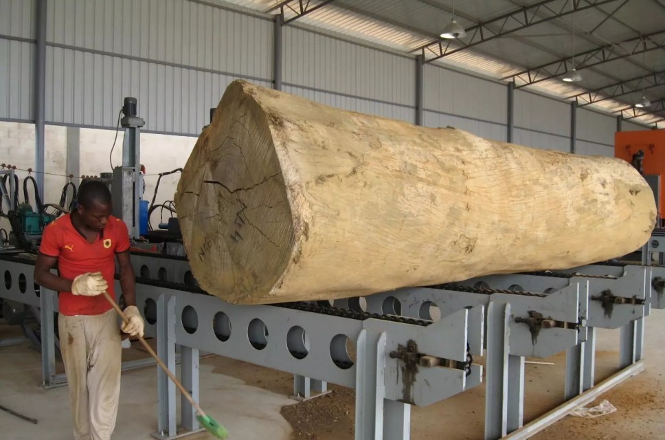 MJ3310 Vertical Band Sawmill with Automatic Log Carriage for log diameter 1000mm