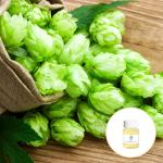CAS 8007-04-3 Organic Beer Hops Essential Oil For Aroma Diffuser Massage