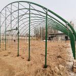 Agriculture Poultry Farming Chicken Heated Greenhouse Automatic