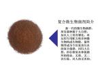 Intelligent sewage treatment purification tank