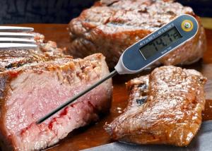 Quality Small Food Service Thermometer Instant Temperature Thermometer For Kitchen / Grill wholesale