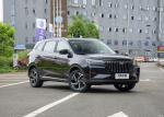 1.5T Sporty 7 Seater SUV Baic Ruixiang X5 Multi Functional Fuel SUV