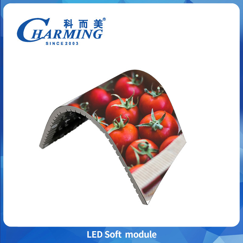 Factory Supply P4 Flexible Panel 16Bit Micro Full Colors 3d Curved 4k Indoor Video Display Commercial Advertising Event 6W Led Screen