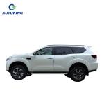 5 Seats Ev Pickup Truck 2wd Paladin Ariya 500 600 Plus ARIYA 4Wd Pickup Truck
