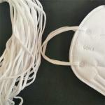2.5mm Elastic Earloop